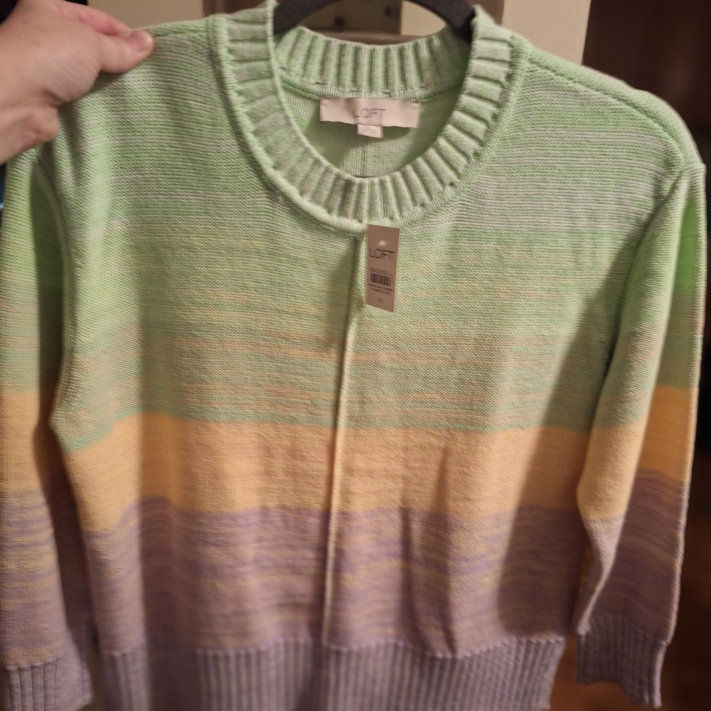 LOFT Women's Multicolor Striped Sweater